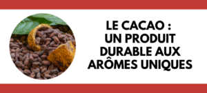 Lire la suite à propos de l’article Le cacao : Un produit durable aux arômes uniques